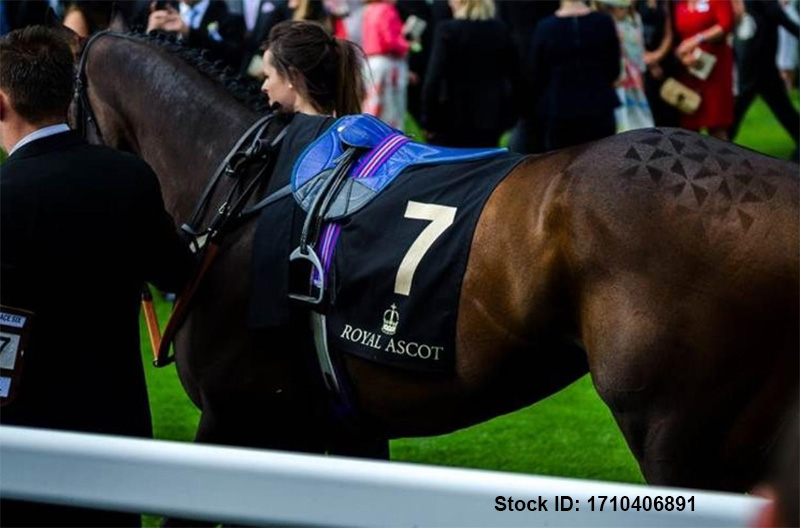 QueenAnneStakes