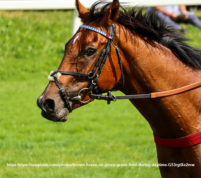 Towcester
